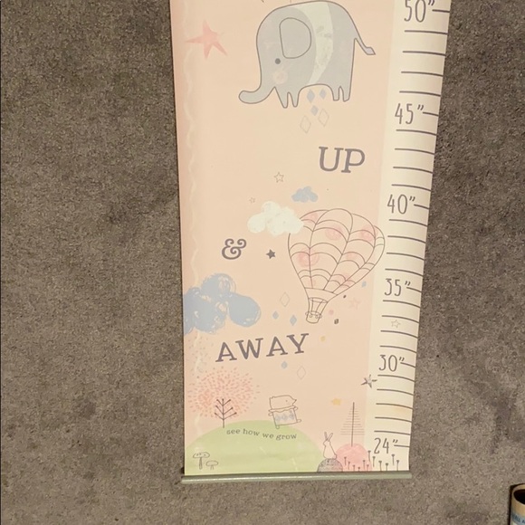 Growth Chart Scroll - Picture 3 of 3